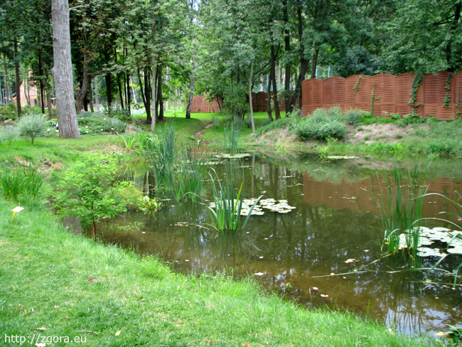Staw na terenie Ogrodu Botanicznego w Zielonej Górze